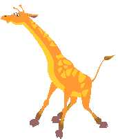 giraffe.